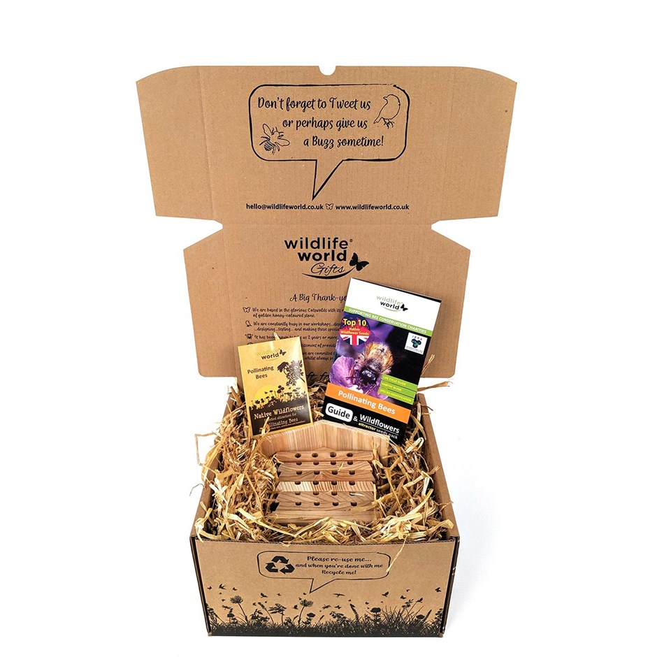 Bee Care Gift Set