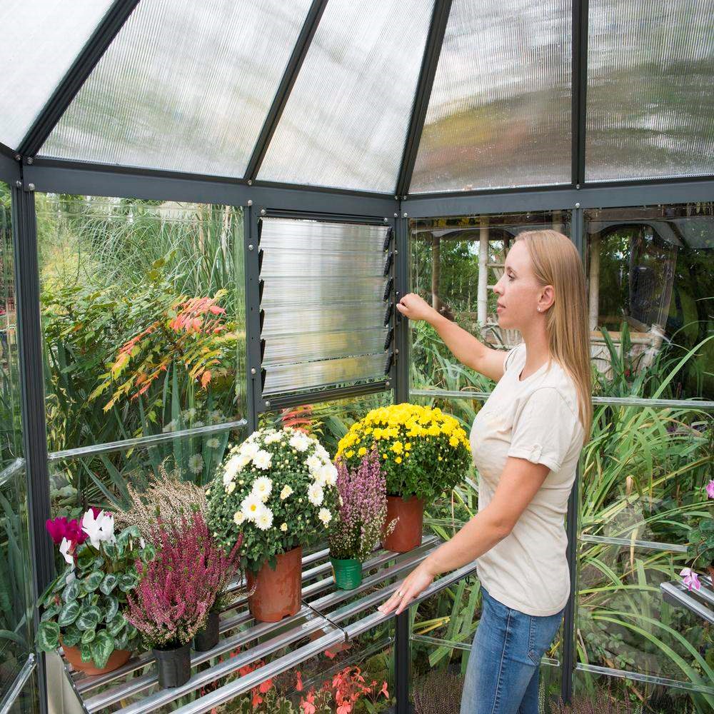 Palram - Canopia Oasis Hexagonal 8ft - Grey 7' x 8'