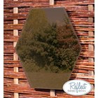 11¾in Small Hexagonal Bronze Mirror - by Reflect™
