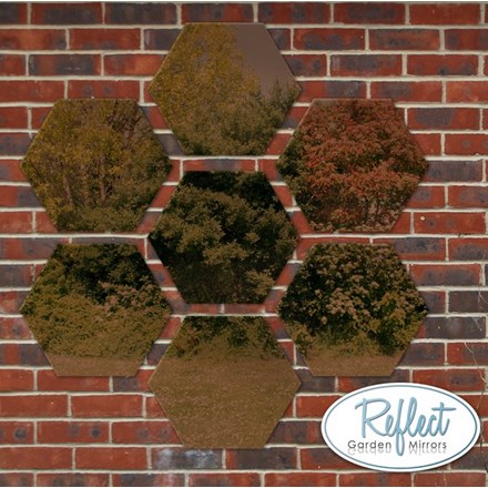 11¾in Set of 7 Small Hexagonal Bronze Mirrors - by Reflect™