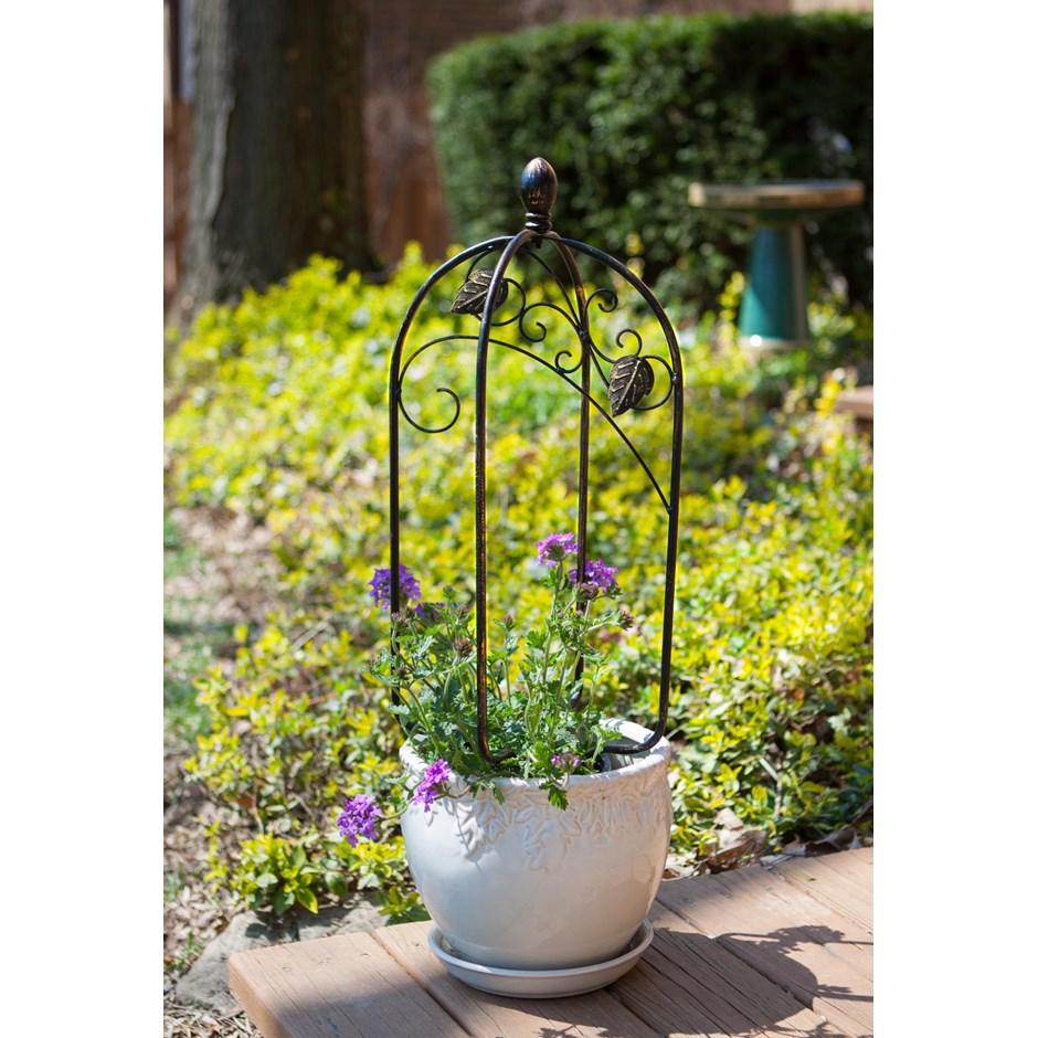 Buy H60cm Scroll & Ivy Pot Trellis Topper in Bronze: Delivery by Primrose