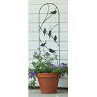 H101cm x W25cm Perching Birds Pot Trellis in Black