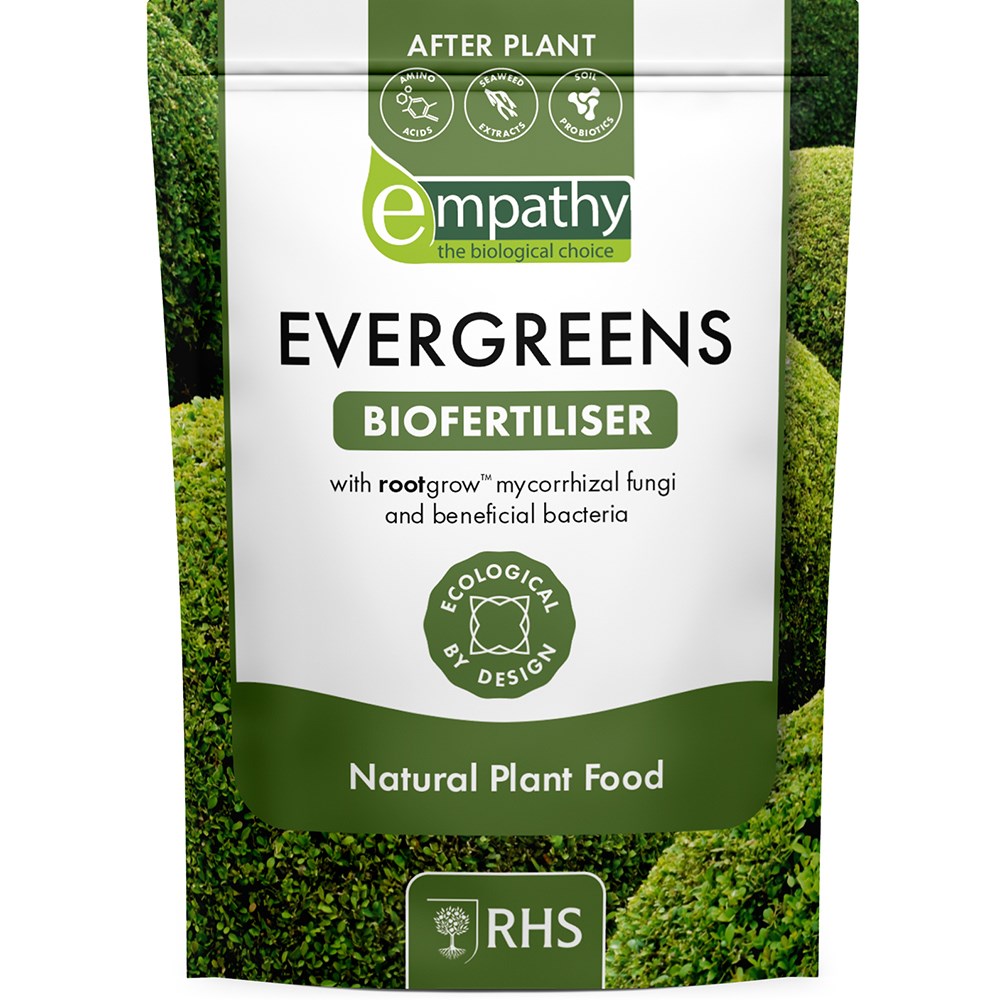 Empathy After Plant Evergreens Food