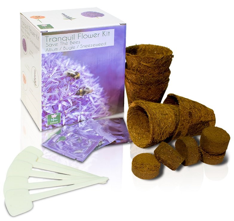 Tranquil Flower - Grow Your Own Herb Garden Kit - 3 Beautiful Flowers to Grow