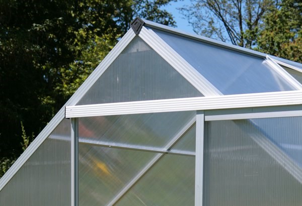 Lacewing™ 6ft x 4ft Essential Greenhouse Starter Kit