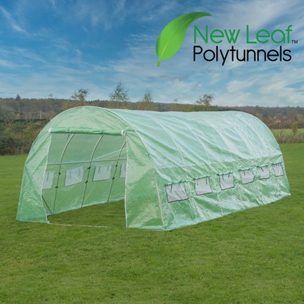 6m x 3m (19ft 8in x 9ft 10in) Premium Polytunnel by New Leaf™
