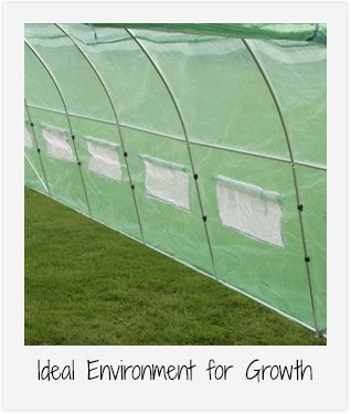 6m x 3m (19ft 8in x 9ft 10in) Premium Polytunnel Galvanised Frame by New Leaf™