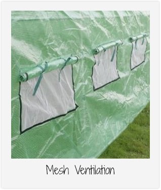 6m x 3m (19ft 8in x 9ft 10in) Premium Polytunnel Galvanised Frame by New Leaf™