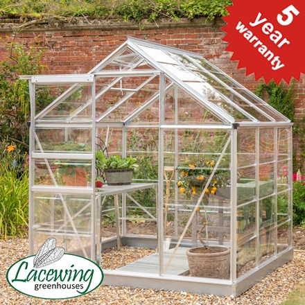 Lacewing™ 6Ft x6Ft Crystal Clear Polycarbonate Greenhouse in Silver with Base