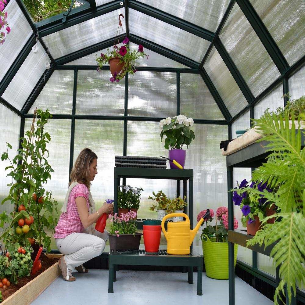 Buy Palram Canopia Hobby Gardener Greenhouse 8x8 9' x 9' Delivery by