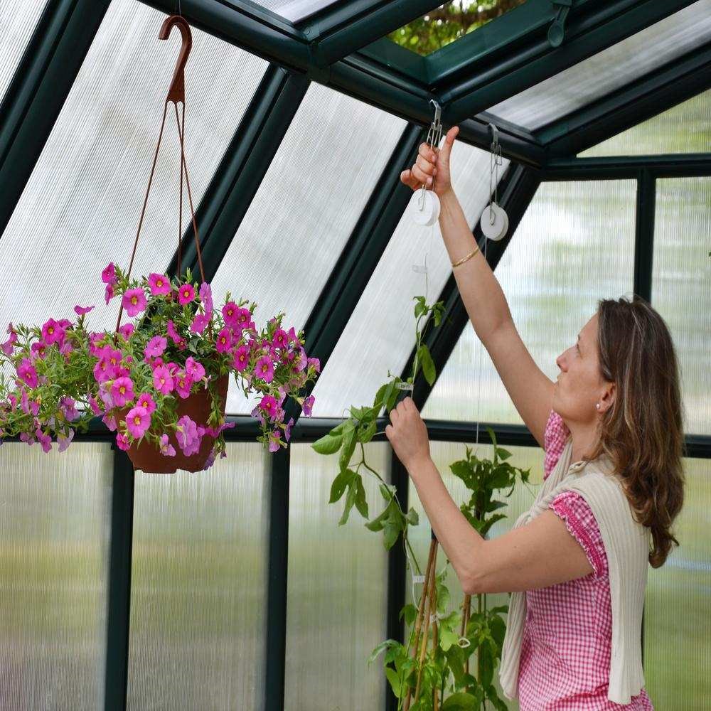 Palram - Canopia Hobby Gardener Greenhouse 8x8 9' x 9'