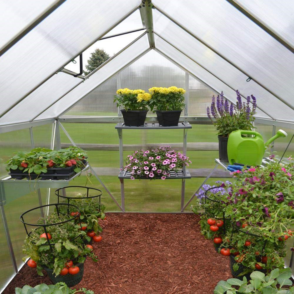 Palram - Canopia Mythos Greenhouse 6x8 - Silver 6' x 8'