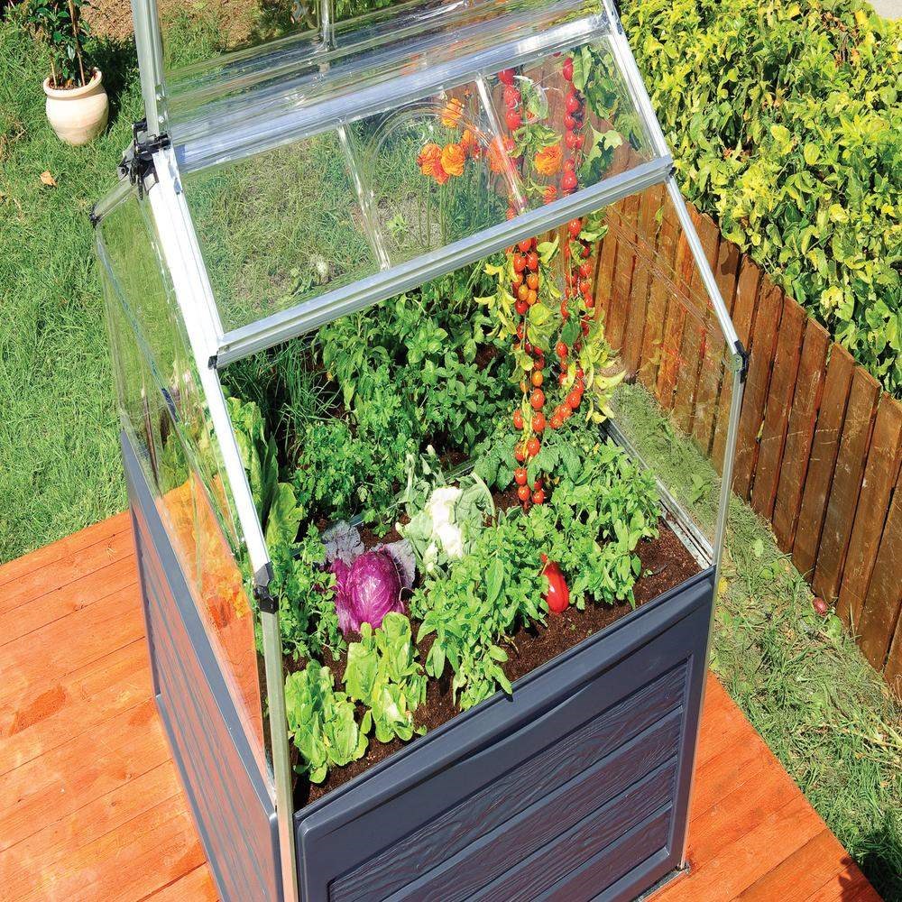 Palram - Canopia Plant Inn Silver Frame - Clear 4' x 4'