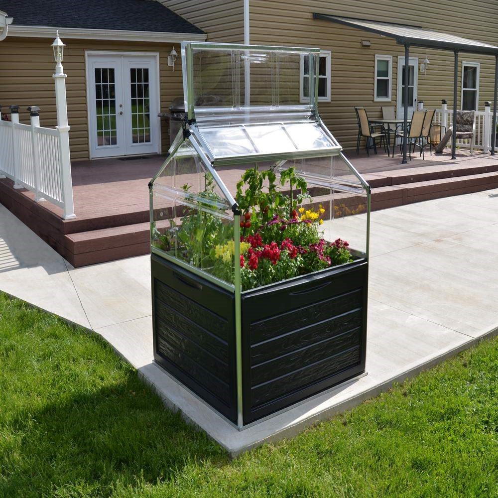 Palram - Canopia Plant Inn Silver Frame - Clear 4' x 4'