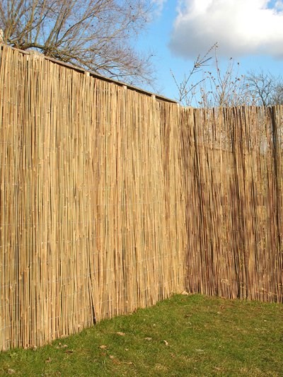 Bamboo Cane Natural Fencing Screening 4.0m x 2.0m | Papillon™
