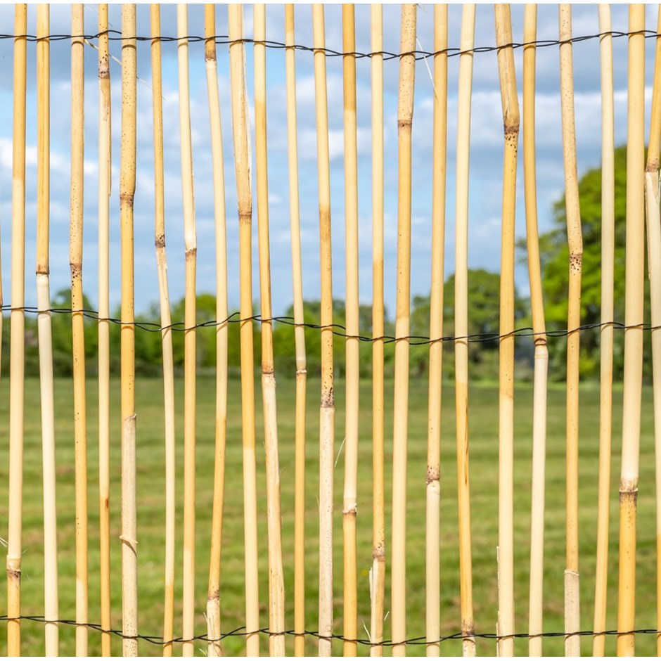 4m Peeled Reed Natural Fence Screening Roll