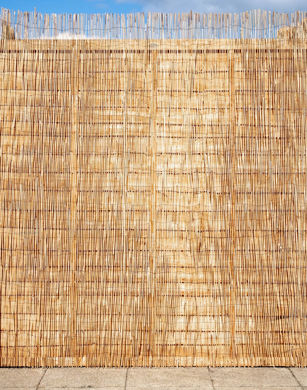 4m Peeled Reed Natural Fence Screening Roll