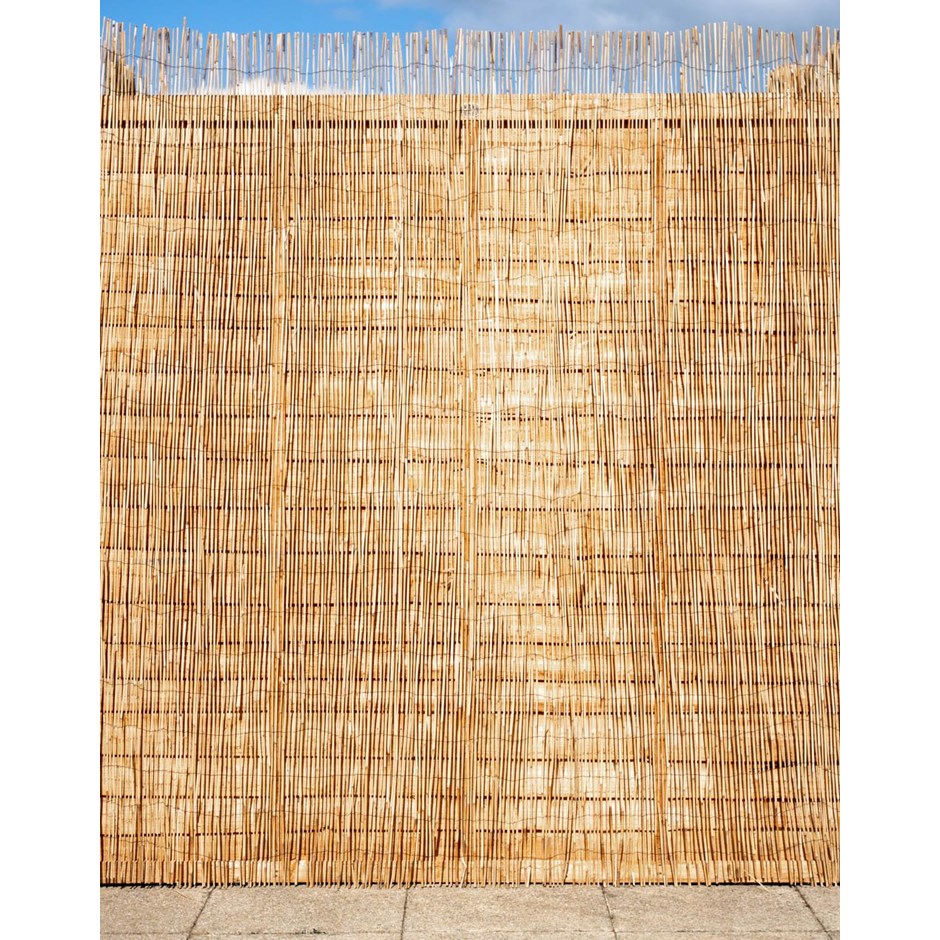 4m Peeled Reed Natural Fence Screening Roll
