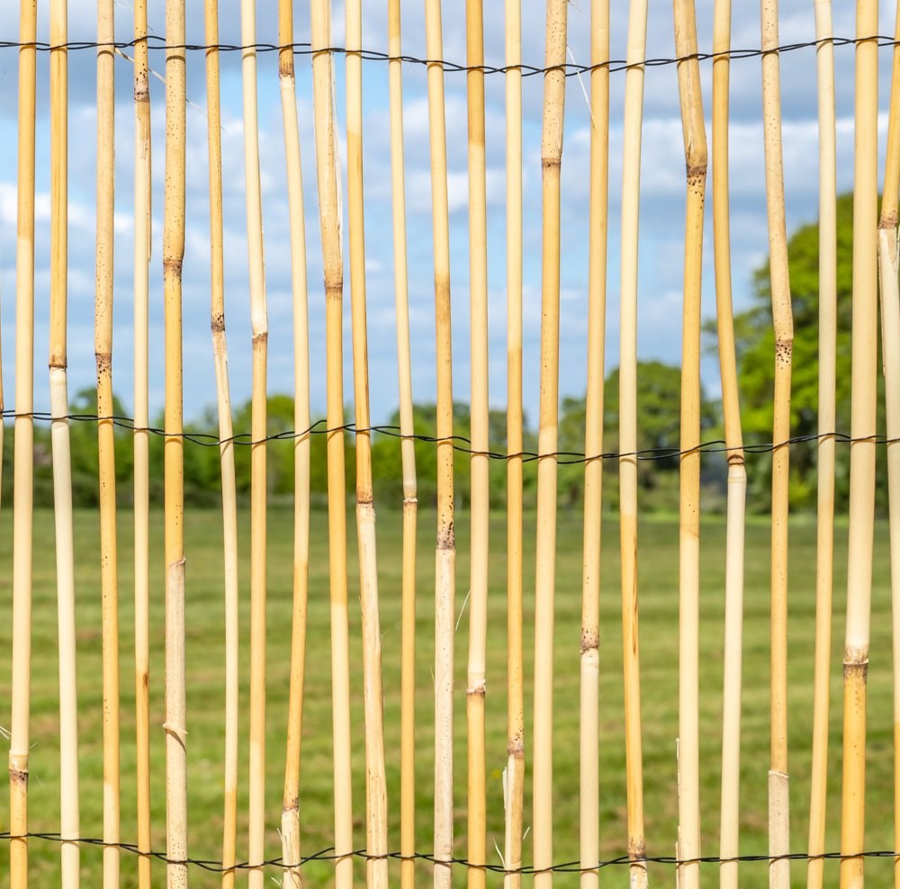 3m Peeled Reed Natural Fence Screening Roll