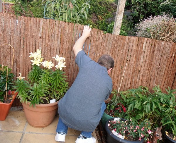 4m Bark Natural Fence Screening Roll