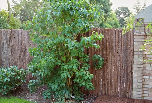4m Bark Natural Fence Screening Roll
