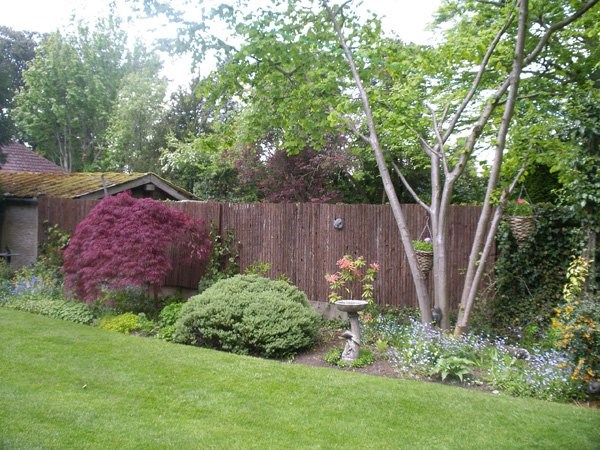 4m Bark Natural Fence Screening Roll