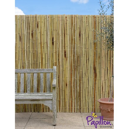 Thick White Bamboo Fencing Screening Roll 1.9m x 1.8m (6ft 2in x 5ft 11in) - | Papillon™