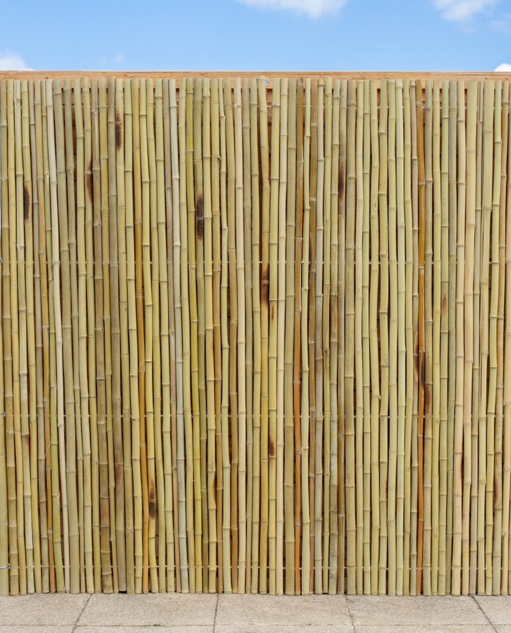 Thick White Bamboo Fencing Screening Roll | Papillon™