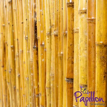 Thick Carbonised Caramel Bamboo Fencing Screening Roll 1.9m x 1.8m (6ft 2in x 6ft) - | Papillon™