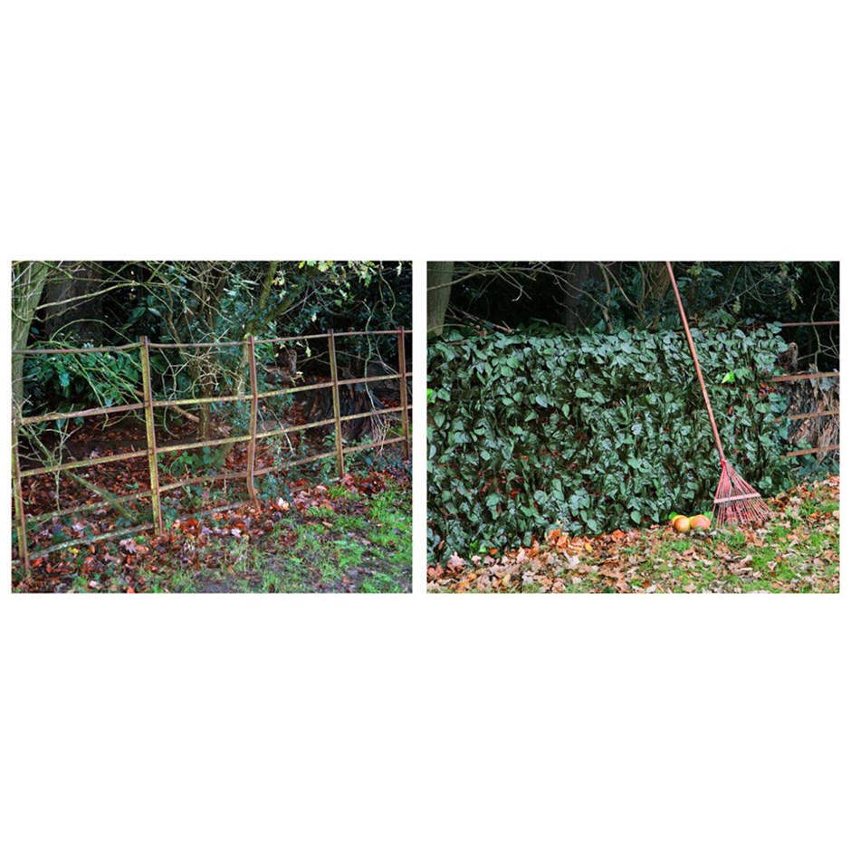 Ivy Hedge Artificial Fence Screening