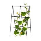 Folding A-Frame Black Metal Cucumber Trellis
