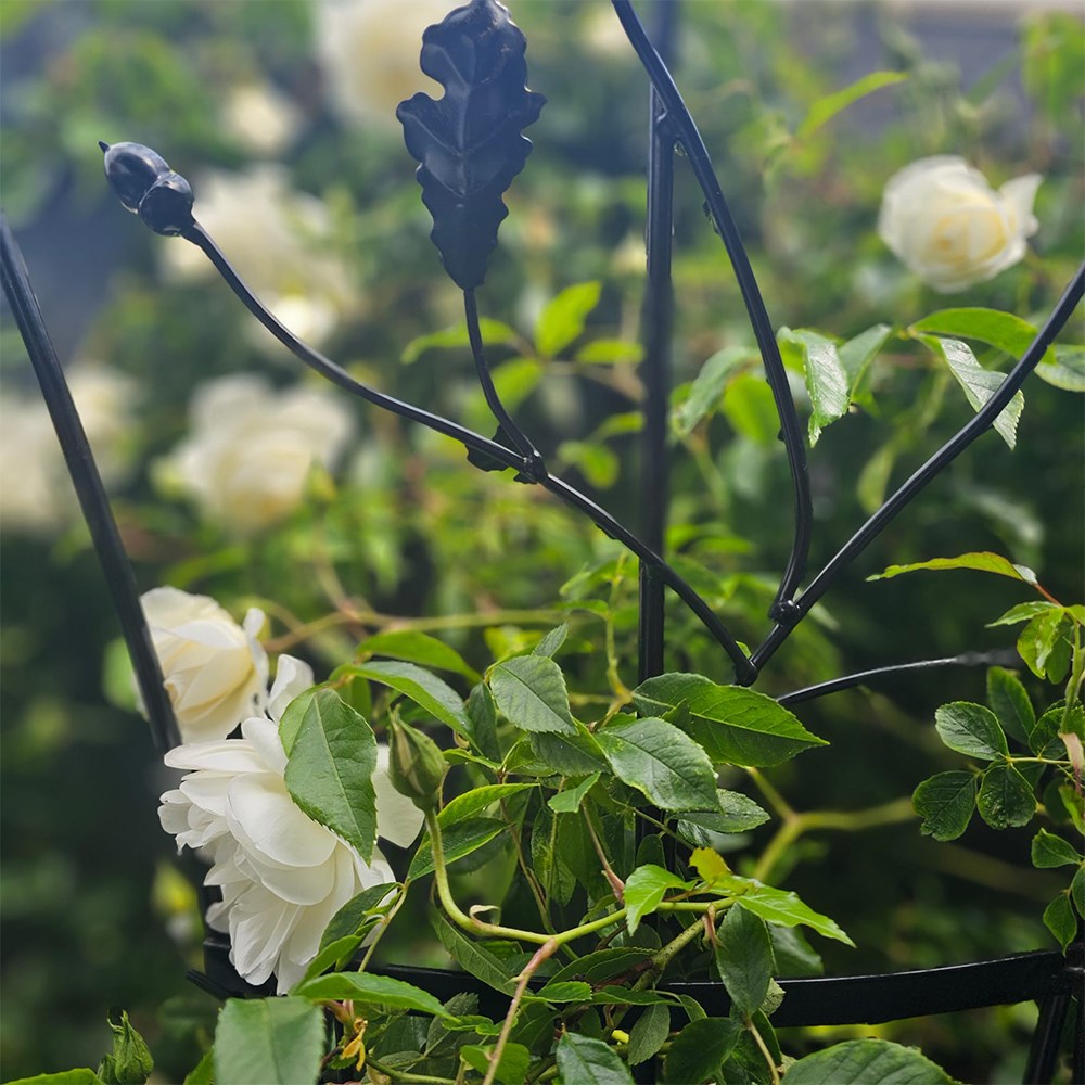 Decorative Bird & Leaf Black Metal Trellis