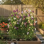 Rustic 3 Panel Expandable Metal Pea Trellis