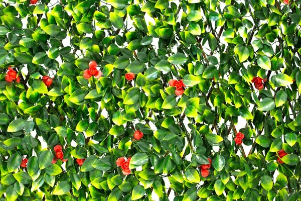 Extendable Artificial Red Flower Screening Trellis | Papillon™
