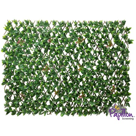 1 x 2m Extendable Artificial Laurel Leaf Screening Trellis (3ft 3in x 6ft 7in) - | Papillon™
