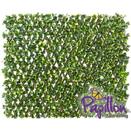 1 x 2m Extendable Artificial Poplar Screening Brown Trellis (3ft 3in x 6ft 7in) - | Papillon™