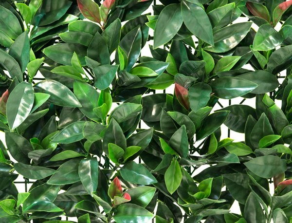 American Beech Artificial Hedge Screening Panel