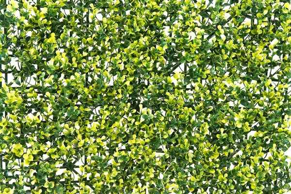 Light Buxus Artificial Hedge Screening Panel