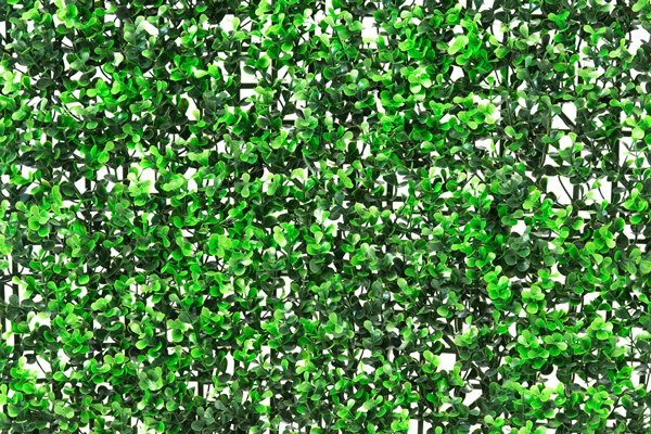 Buxus Artificial Hedge Screening Panel