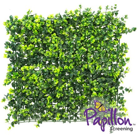 50x50cm Dark Buxus Artificial Hedge Panel (1ft 7in x 1ft 7in) - by Papillon™