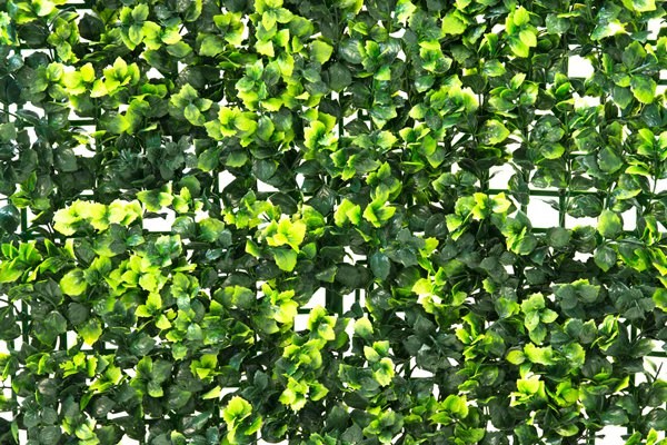 Dark Buxus Artificial Hedge Screening Panel