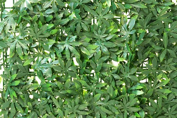 Green Acer Artificial Hedge Screening Panel