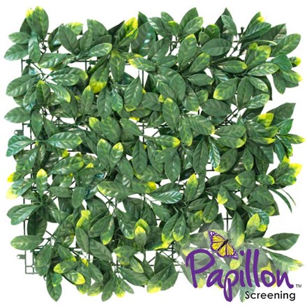50x50cm Laurel Artificial Hedge Panel (1ft 7in x 1ft 7in) - by Papillon™