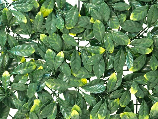 Laurel Artificial Hedge Screening Panel