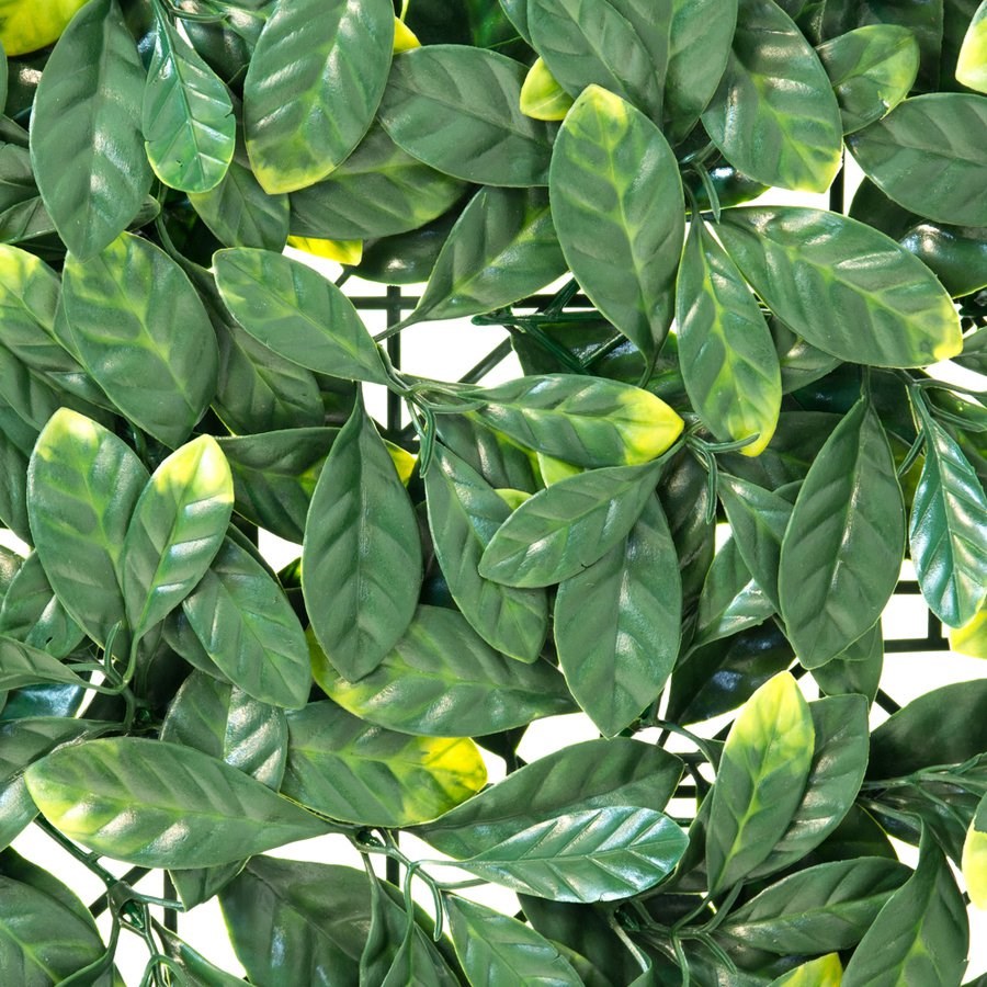 Laurel Artificial Hedge Screening Panel