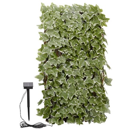 180 x 90cm Ivy Artificial Hedge Trellis Screen w/ 75 Solar LED Lights | Smart Garden