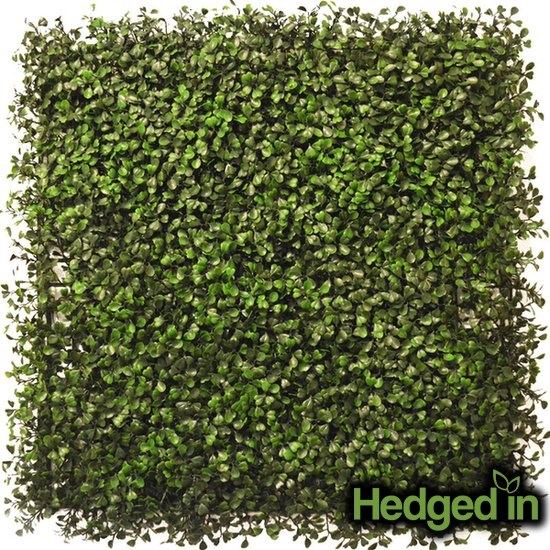 50cm Boxwood Artificial Hedge Panel