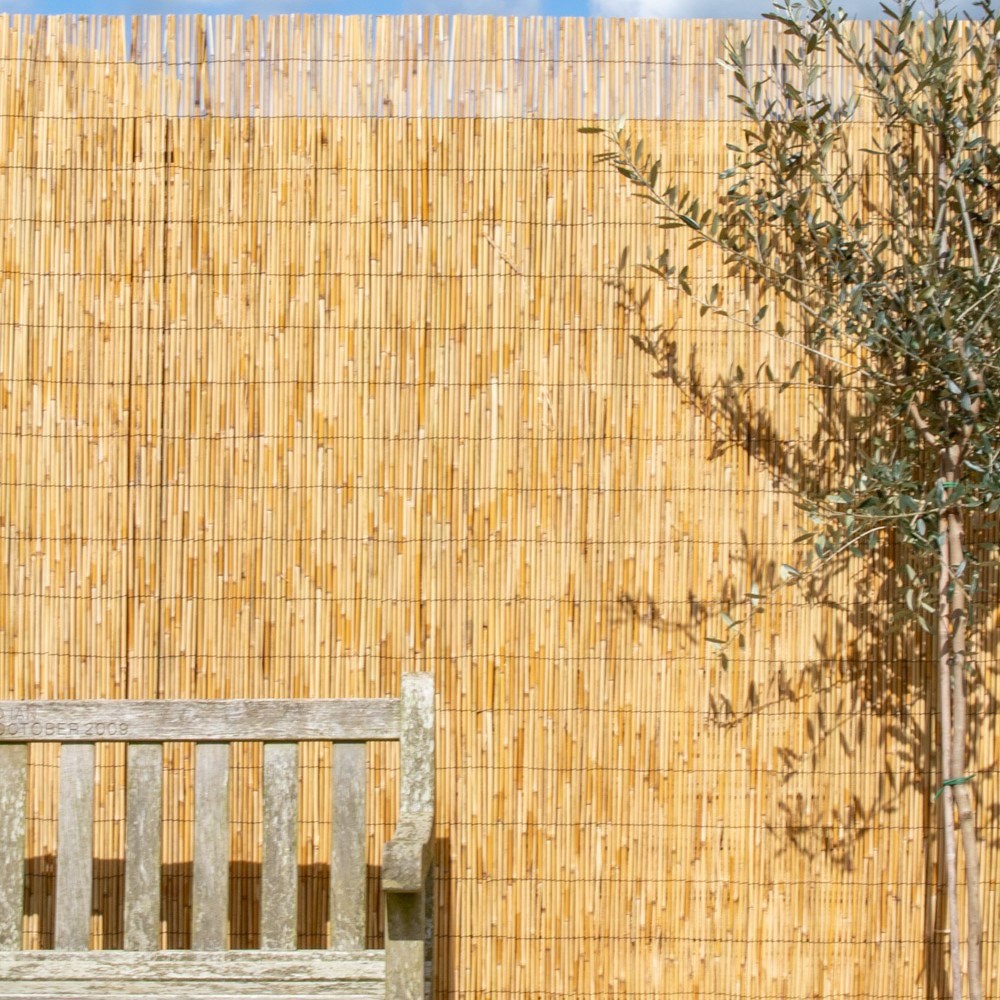 4m Reed Natural Fence Screening Roll