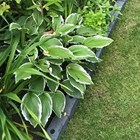 Grey Roman Stone Recycled Flexible Garden Edging