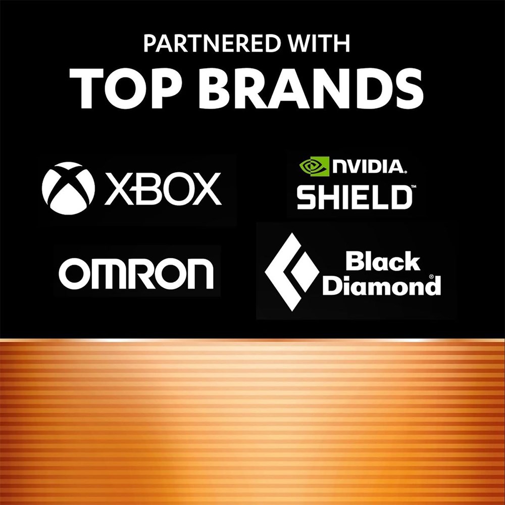 Duracell AA Plus Batteries